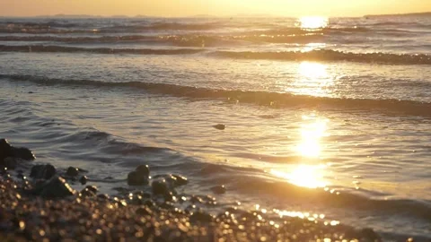 Golden sunset light reflects on calm ocean waves near shore. Stock Footage 337408200