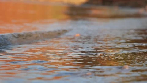 Golden sunset light reflects gently across calm shallow water ripples. Stock Footage 337408912