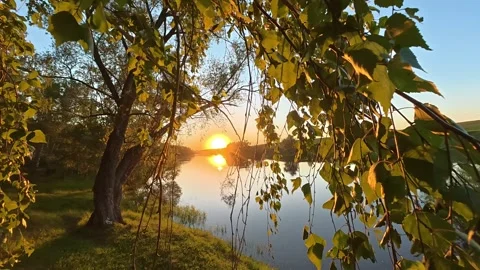 Golden Sunset Over Calm River Stockbeeldmateriaal 336804338