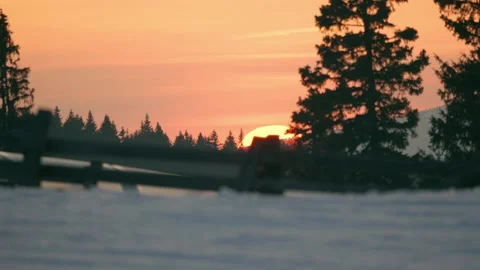 Golden sunset over dark pine tree silhouettes in a snowy winter forest Stock Footage 331964210
