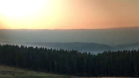 Golden sunset over the forest Stock Footage 313272517