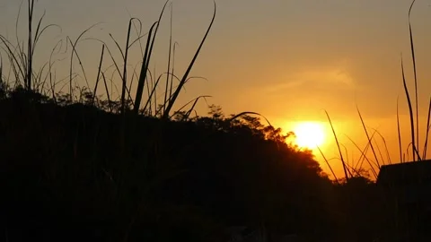 Golden Sunset Over Grass and Tree Silhouettes in a Rural Evening Sky 스톡 동영상 344517717