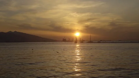 Golden Sunset Over Harbor with Ship Silhouettes and Seagulls Stock Footage 330506965
