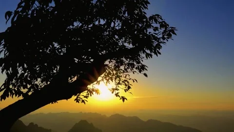 Golden Sunset Over Mountain Range With Silhouetted Tree Branches Stock-Footage 341999413