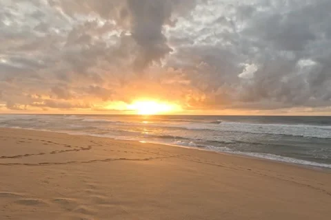 Golden Sunset Over Ocean Beach with Footprints on Sand Video stock 343274171