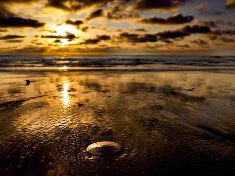 Golden sunset over the ocean with dramatic clouds reflecting on wet sand Foto stock