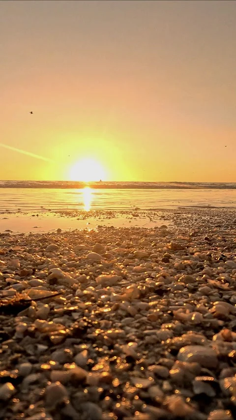 Golden Sunset Over Ocean with Seashells on Beach – Vertical Coastal Video Stock Footage 330272253