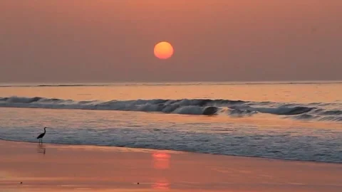 Golden Sunset Over Ocean Waves and Sandy Beach Stock Footage 327103490