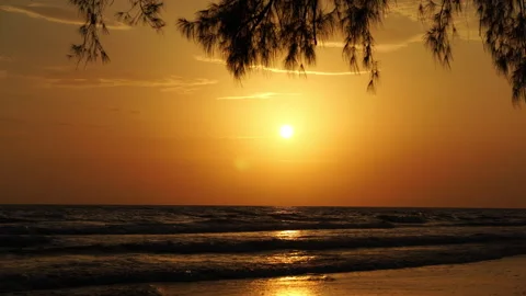 Golden sunset over ocean waves with tree branches silhouette in foreground 動画素材 340185063