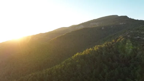 Golden Sunset Over Pine Forests and Mountains with Lens Flare Stock Footage 321744345