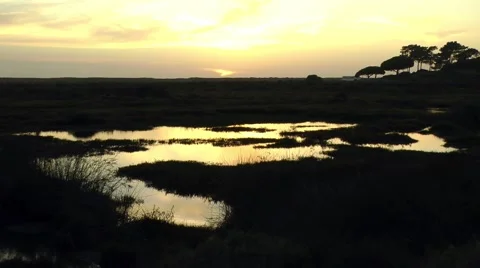 Golden sunset over pool Stock Footage 46616860