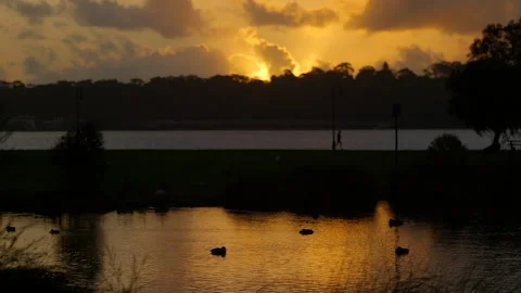 Golden sunset over river. Ducks swim in foreground pond. Runners along shoreline Video stock 196143892