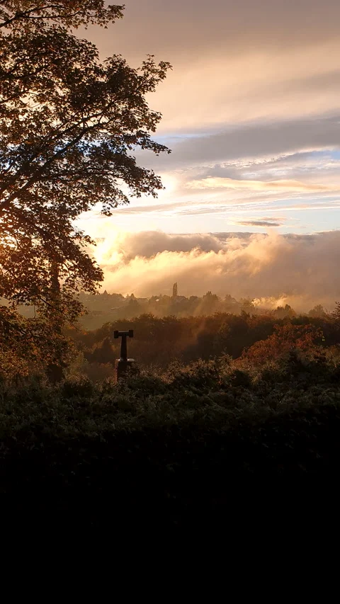 Golden Sunset Over Rolling Hills With Trees and Mist at Dusk Stockbeeldmateriaal 341746729