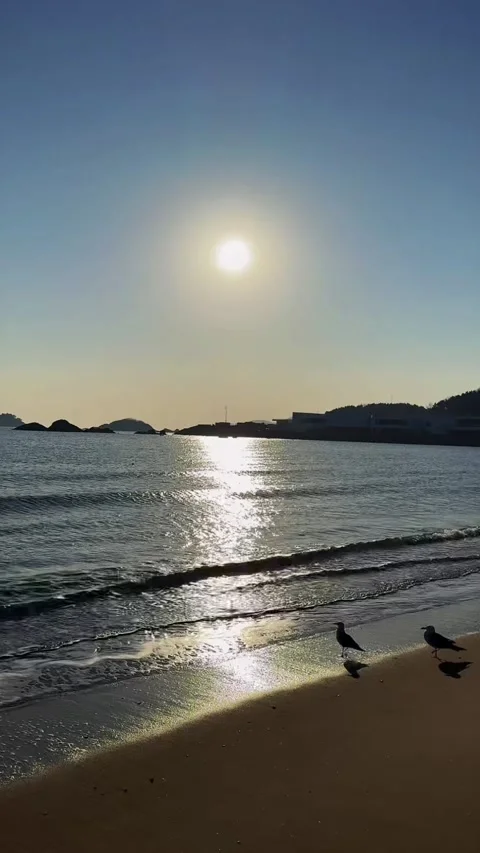 Golden Sunset Over Sandy Beach with Sea Ripples and Seagulls Stock Footage 329142935