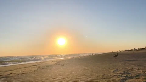 Golden Sunset Over Sandy Beach and Calm Sea Waves at Dusk Vídeos de archivo 343334964