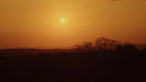 Golden Sunset Over Tikal Rainforest From Temple IV, Guatemala Stock Footage 345677586