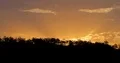 Golden sunset over trees in Labuan Bajo, Flores - Indonesia 4k or 4k+ Resolution