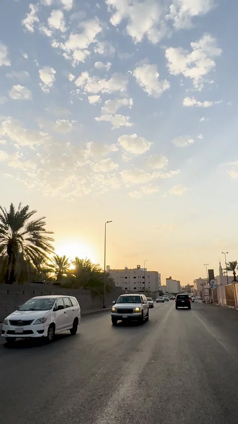 Golden Sunset Over Urban Road with Palm Trees Vídeo Stock 334821353