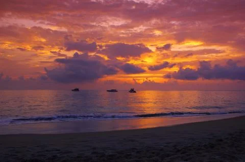 A golden sunset Stock Photos
