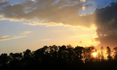 Golden sunset Stock Photos