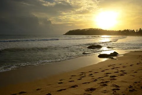 Golden sunset Stock Photos