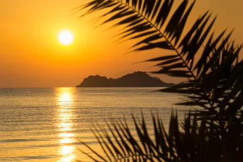 Golden sunset Stock Photos