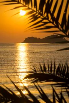 Golden sunset Stock Photos