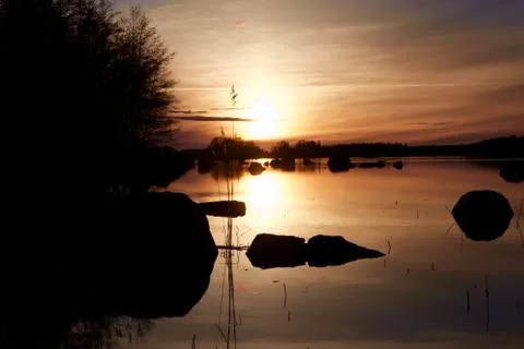 Golden sunset Stock Photos