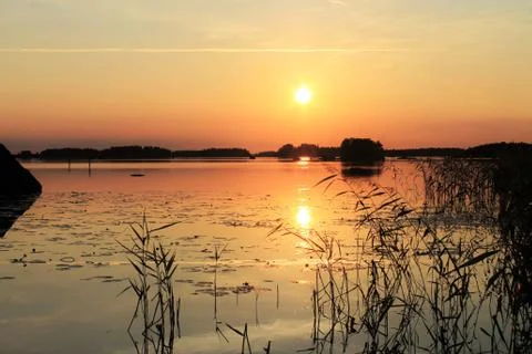 Golden sunset Foto stock