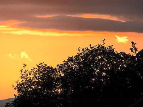 Golden sunset Stock Photos