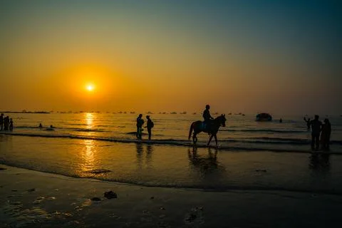 Golden Sunset Stock Photos