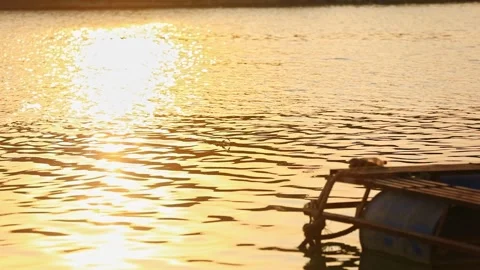 Golden Sunset Reflecting on Calm River with Small Wooden Floating Dock Video stock 342209140