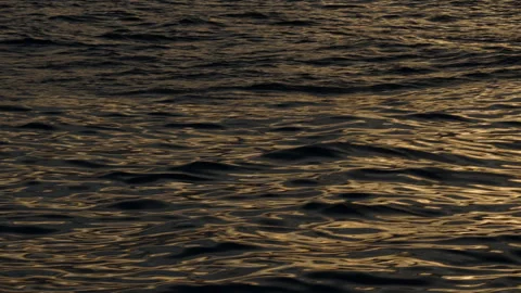 Golden Sunset Reflection on Antarctic Ocean Water Vídeos de archivo 335998017