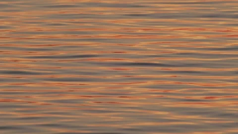 Golden Sunset Reflection on Calm Sea Water Surface Stockbeeldmateriaal 333661753
