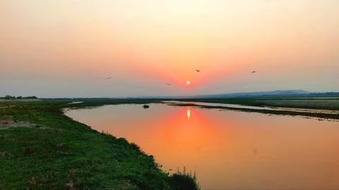 Golden Sunset Reflection Over A Calm River With Flying Birds Foto stock