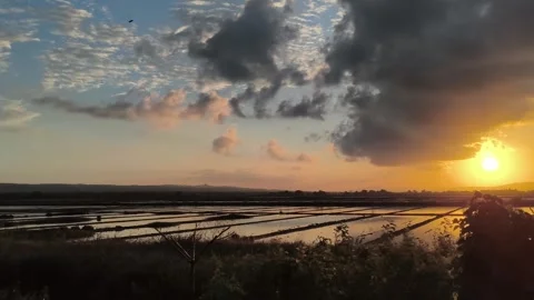 Golden Sunset Reflection over Flooded Rice Paddies Landscape Video stock 340465239