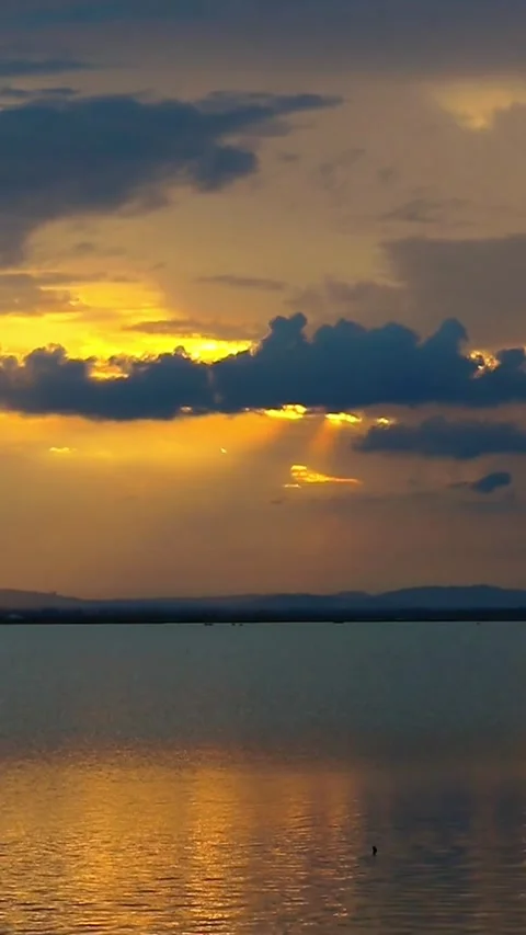 Golden Sunset Reflection Over the Lake Stock Footage 309941979