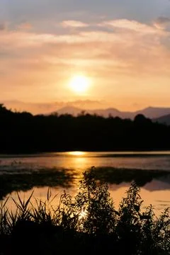 Golden Sunset Reflection Stock Photos