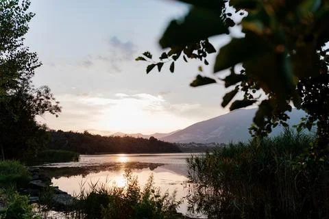 Golden Sunset Reflection Stock Photos