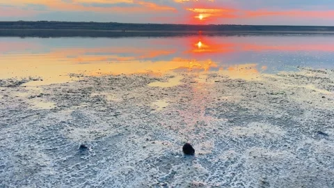Golden Sunset Reflection On Shallow Salt Flat Lake Stock Footage 341756010
