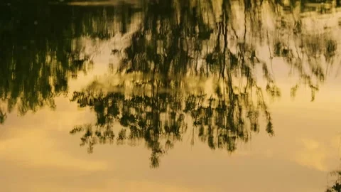Golden Sunset Reflection on the Tranquil Ros River, Ukraine Stock Footage 326277651