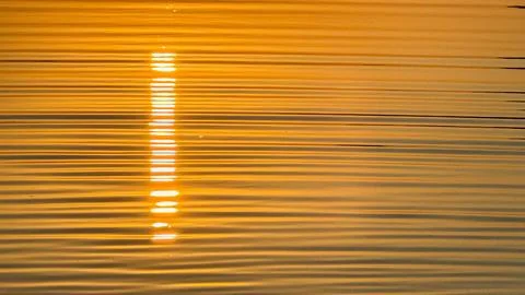 Golden sunset reflection on tranquil water with radiant ripples and soothin.. Stock Photos