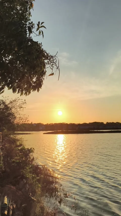 Golden Sunset Reflection on Tropical Lake with Silhouette Trees Stock Footage 340489891