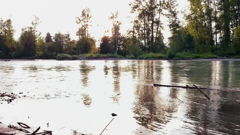 Golden sunset reflection on a wide river surface with dark silhouettes of forest Stock Footage 339108272