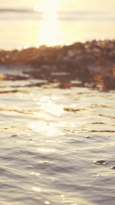 Golden Sunset Reflections on Calm Ocean Water With Soft Sparkling Ripples Stock Footage 337416144