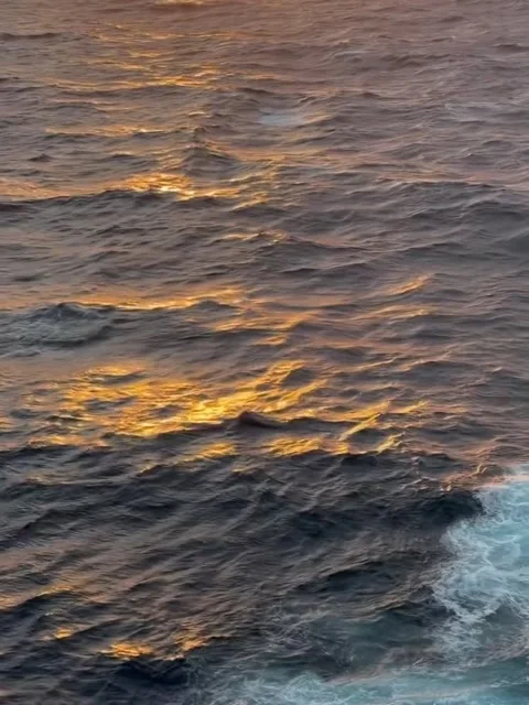 Golden Sunset Reflections on Ocean Waves Stock Footage 341317262