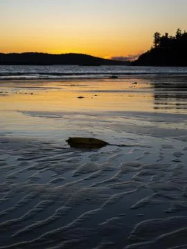 Golden Sunset Reflections with Yellow Object on Beach, 29 July 2025 Stock Photos