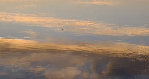 Golden sunset on the river, 4k Stock Footage 142786192