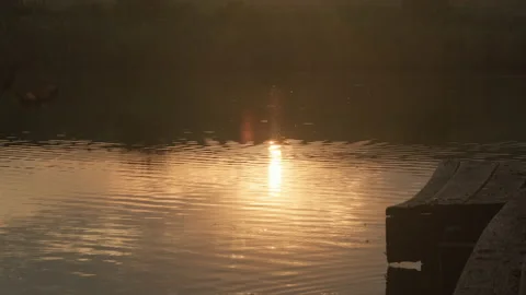 Golden sunset on river. Sun reflections on the water at sunrise Stock Footage 230202161
