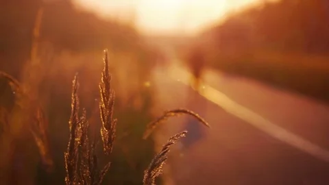 Golden Sunset Road Stock Footage 80734224